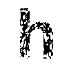 captcha1